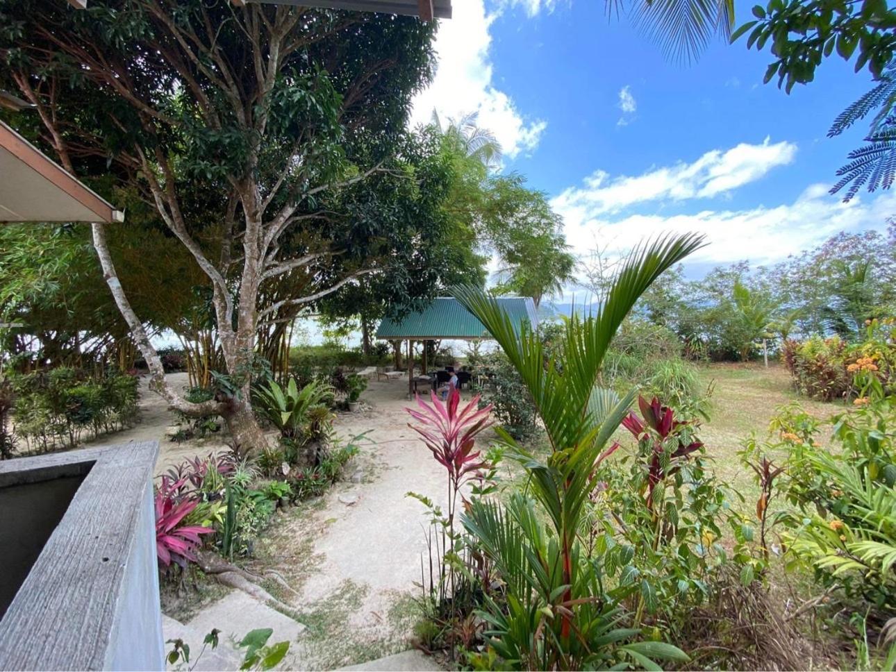 Port Barton - Paradiso Azul Campsite Beachfront With Internet San Vicente  Dış mekan fotoğraf
