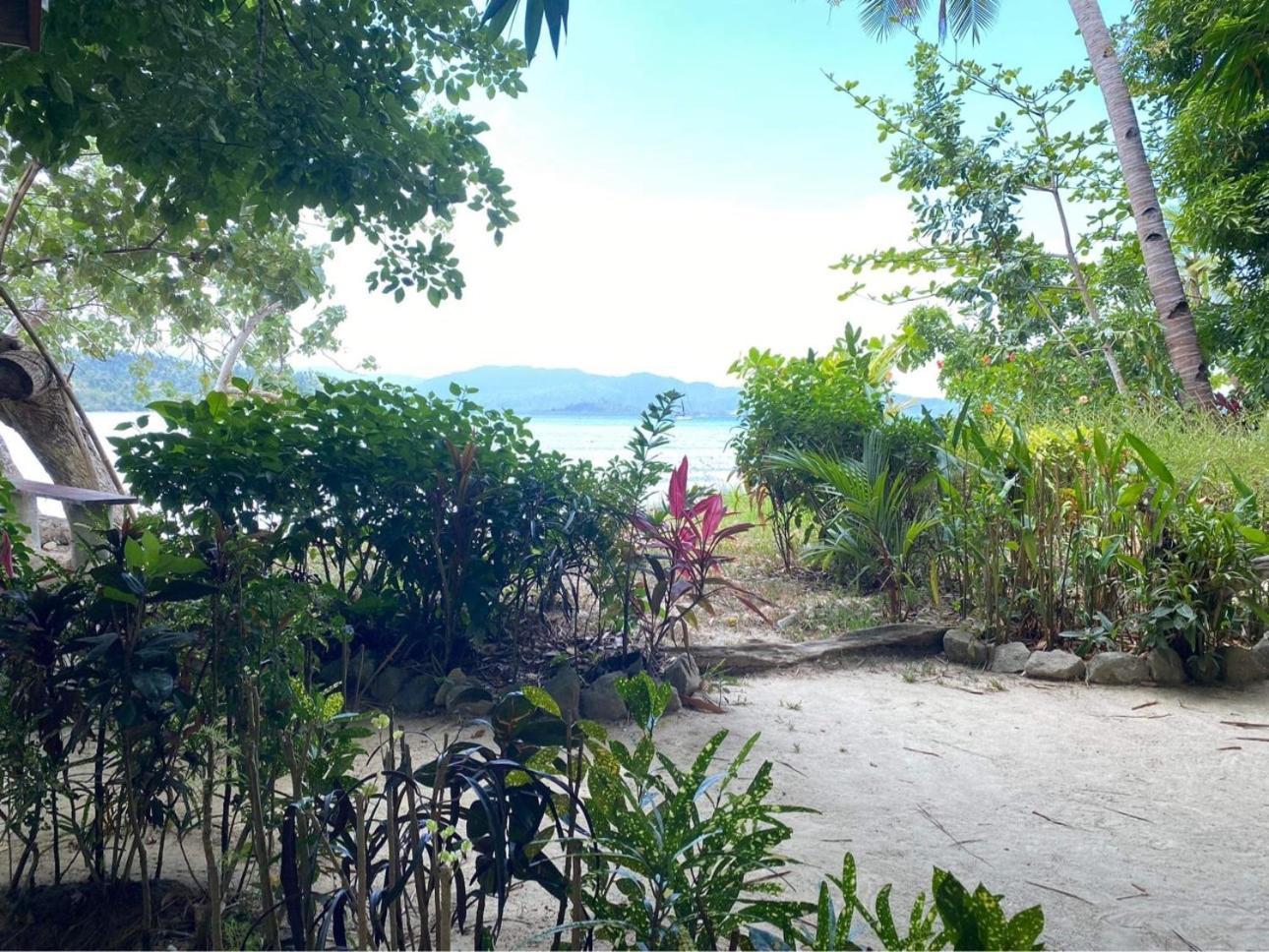 Port Barton - Paradiso Azul Campsite Beachfront With Internet San Vicente  Dış mekan fotoğraf