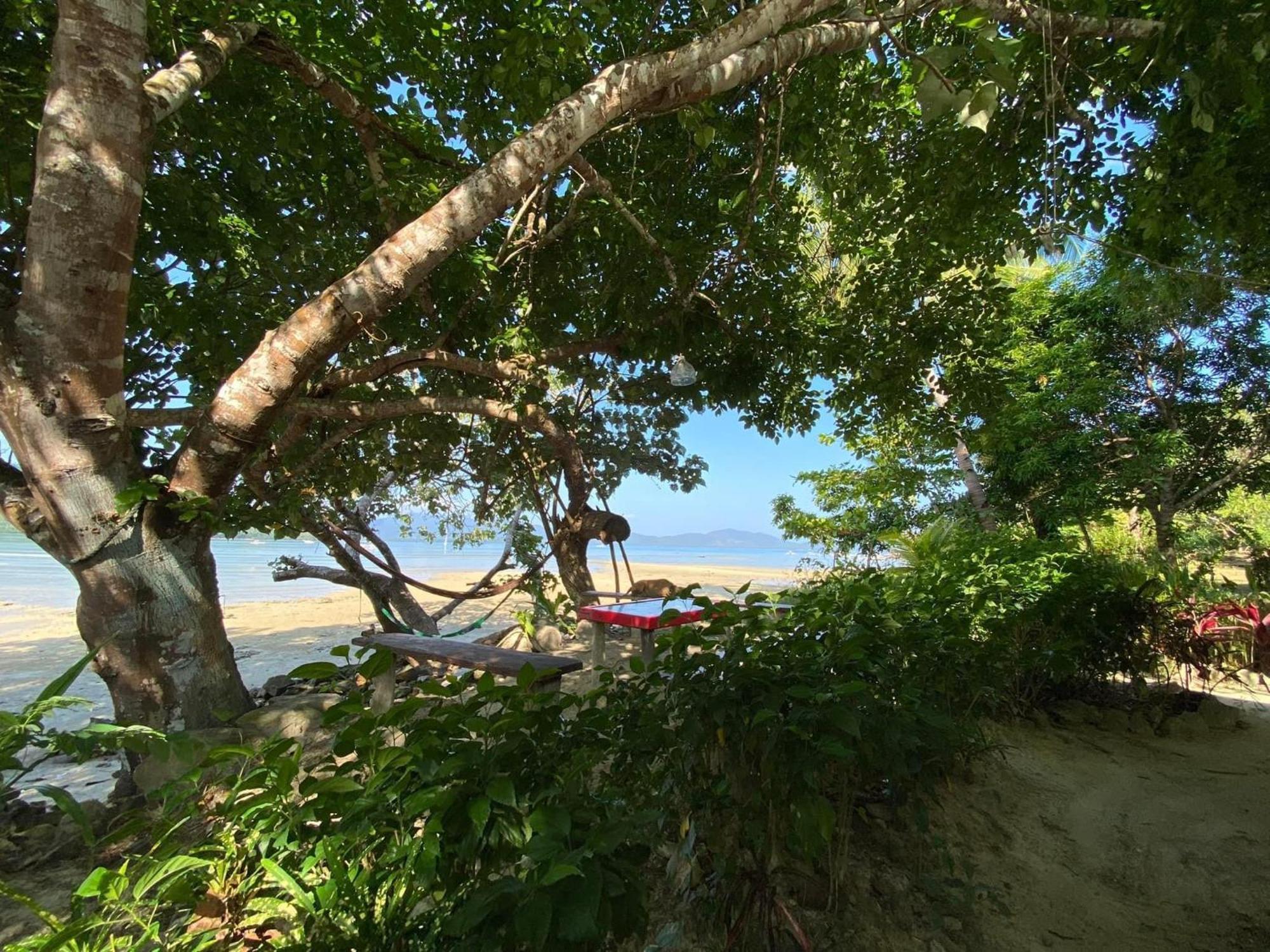 Port Barton - Paradiso Azul Campsite Beachfront With Internet San Vicente  Dış mekan fotoğraf